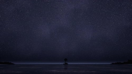 Amazing Starry Sky Over Sea At Night