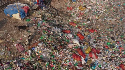 Polluted river with plastic waste highlighting global environmental crisis