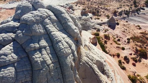 Detailed Texture of White Brain Rock Formations Geological Patterns at White Pocket