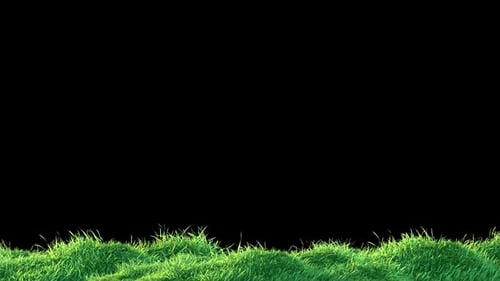 Grass Wind Noise Loop auf Alpha