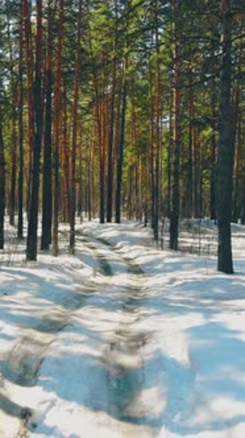 Mouvement le long d'une trace de voiture sale sur une neige blanche brillante et fondante