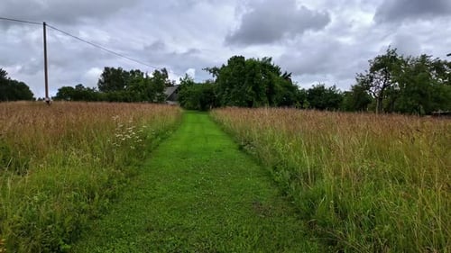 Profile view of a green pathway in farm under cloudy day. Slow motion shot.