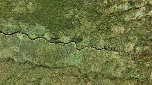 Bird's eye view of the source of a stream snaking through a lush green landscape