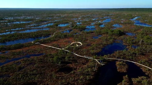 Aerial drone zoom in shot over a man fishing along wooden pier in a pond on a sunny morning.