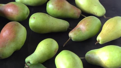 Parisian Pear Variety Fruits on the Table Autumn Harvest Pears Top View