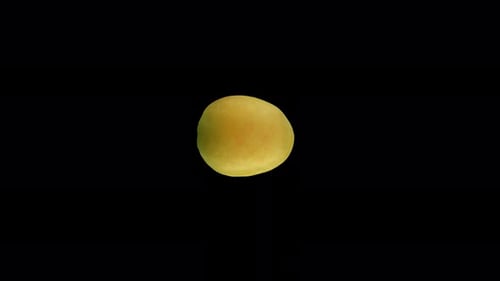 Close Up of Yellow Apricot Fruit on Black