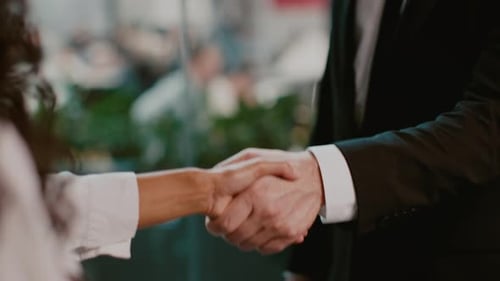 Business Professionals Engage in Handshake to Finalize Agreement in Office