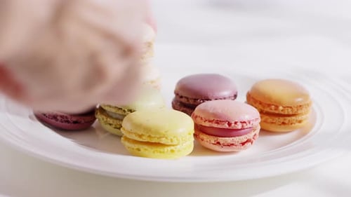 Colorful Macarons Arranged on White Plate