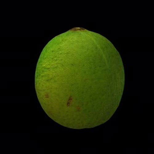 Rotating 3D Lime- Seamless Endless Loop in 4K