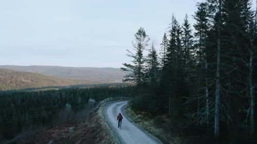 Radfahrer fahren Gravel in Woods Story