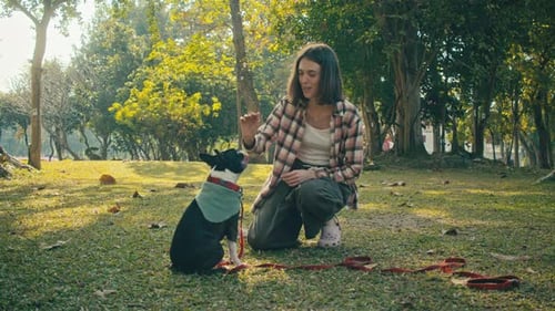 Woman and Dog High-Five in Park Setting