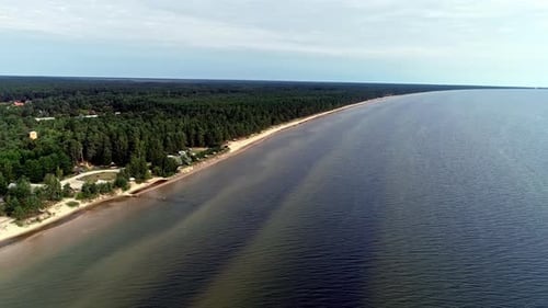 Aerial backward moving shot of beautiful coast and thick green vegetation under blue sky at daytime.