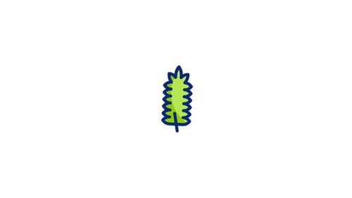 Leaf Animated Icon