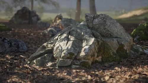 Natural Rocky Formation with Moss in a Tranquil Outdoor Setting During Daylight