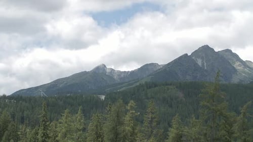 Panorama of mountains surrounded by lush forest.