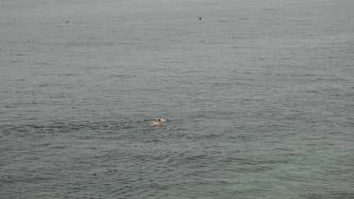 Swimmer in the Sea Snorkeling