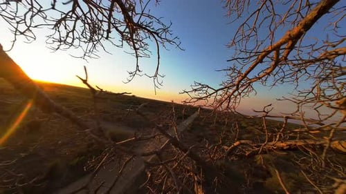 Aerial View of a Blonde Woman in a White Dress Walking on a Dirt Road in the Madagascar Savanna The