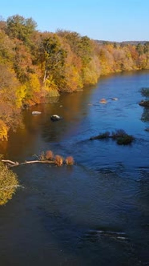 Aerial view. Flying over the beautiful sunny autumn forest colorful trees.