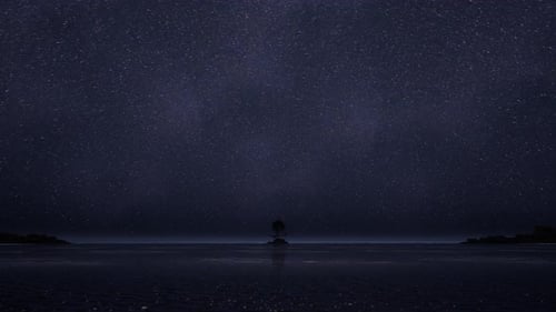 Amazing Starry Sky Over Sea At Night