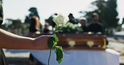 Flower, coffin and hands of person at graveyard for funeral ceremony, death and memorial service