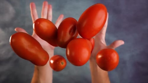 Leckere rote Tomaten, die in Zeitlupe geworfen werden