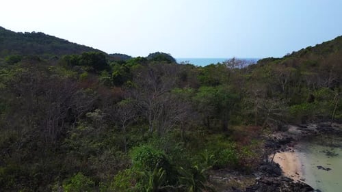 rainforest on tropical island beach bay. Beautiful aerial view flight Unbelievable aerial view drone