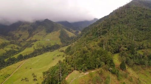 Des
montagnes tropicales couvertes de nuages. Paysage de la vallée de Cocora.