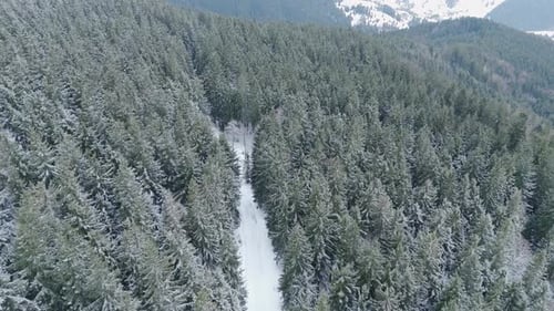 Top view of a scenic road through a winter fairytale mountain forest with snow-covered pine trees.