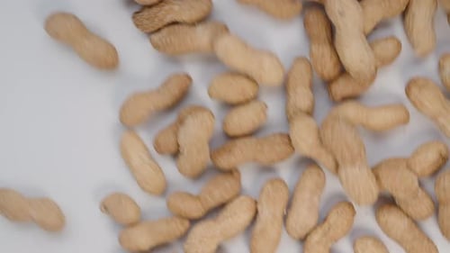 Unpeeled Peanuts Scatter Across a White Table. Top View, Slow Motion.