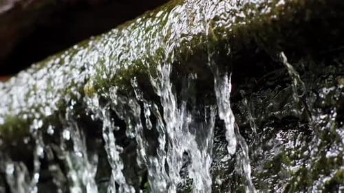 Close Up of Waterfall Overflowing From Mossy Ledge in Slow Motion