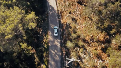 Weißes Auto fährt eine Straße entlang in einem dichten Pinienwald
