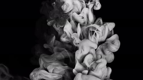 Slow Motion Captures White and Black Paint Mixing in Water Against White As Colored Ink Spreads Out