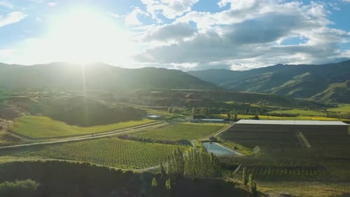 Aerial tracking back over vineyards in Central Otago over a river with a lens flare from the sun
