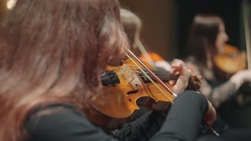 Violins in Symphonic Orchestra Female Musicians are Playing Music String Instrument