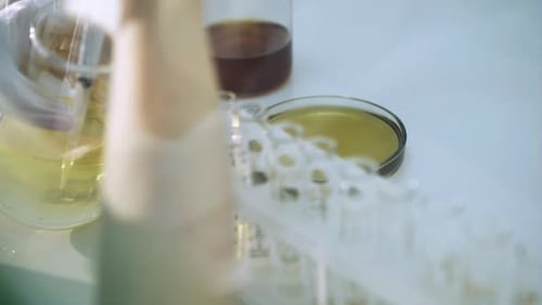 Doctor Making Analysis in the Laboratory