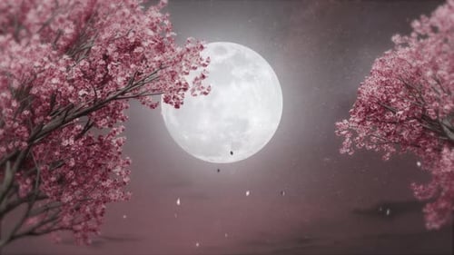 Serene Cherry Blossom Trees and Full Moon Night Scene