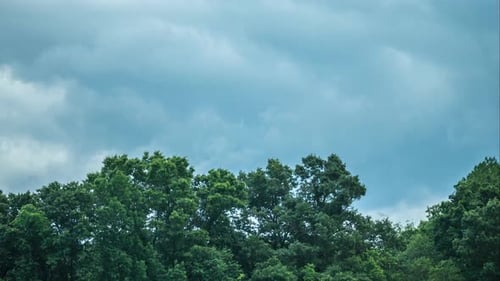 Timelapse of Stormy Clouds over Trees on a Windy Day