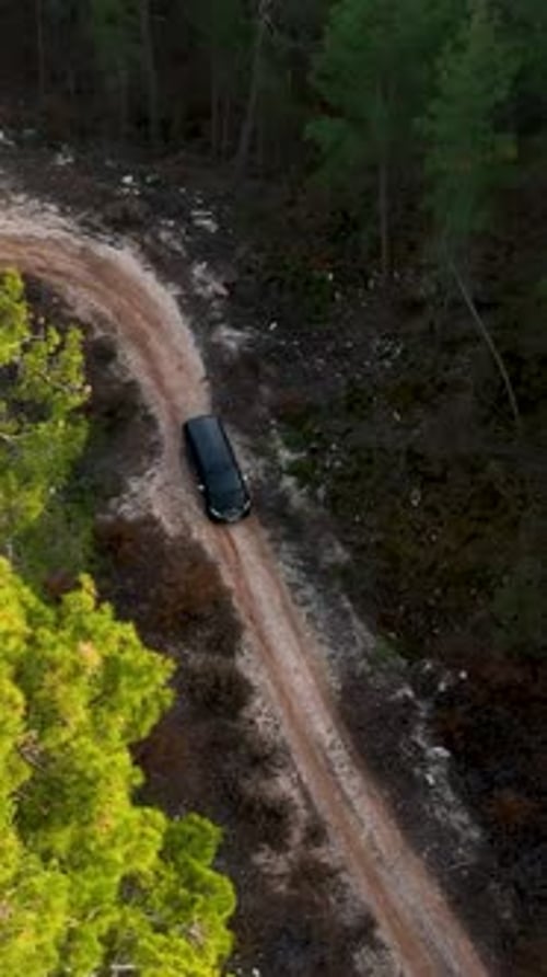 Vertical Video Cinematic Escape Luxurious Black Car and the Mystical Green Forest