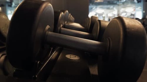 a Row of Black Dumbbells are Stacked on Top of Each Other in a Gym