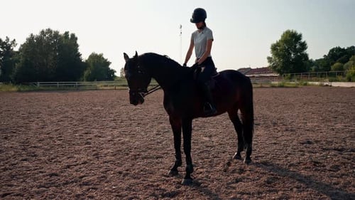 A rider dressed in professional equipment practices a gallop on his beautiful horse in an outdoor