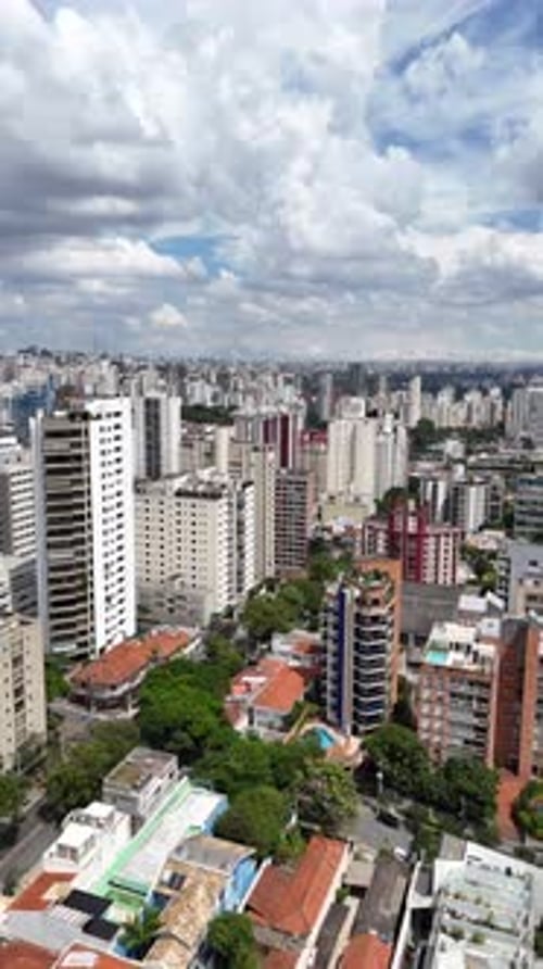 Vídeo aéreo acima do Parque Ibirapuera São Paulo em um dia ensolarado