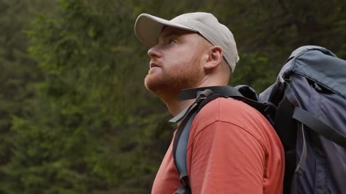 Male Hiker Standing in Forest Looking Up