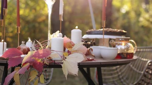 Cozy autumn picnic in the park. Close up of table setting with white plates, cutlery, glass vase wit