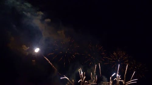 Bright Fireworks Exploding in the Night Sky