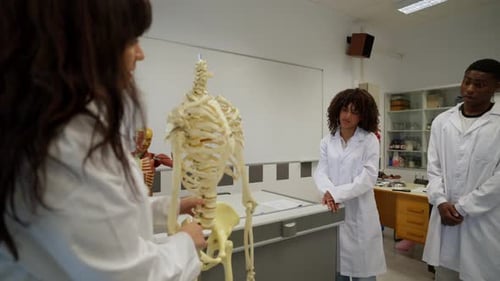 Medical Students Studying Human Skeleton Anatomy in University Laboratory