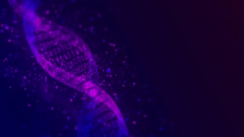 DNA-Molekül, Doppelhelixstränge