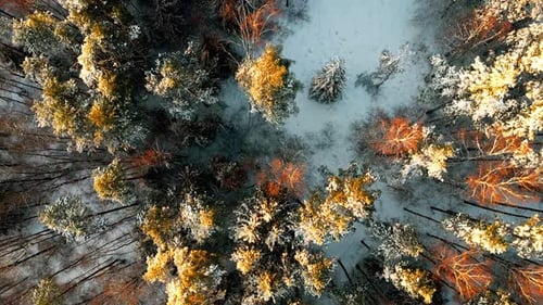 V1 0009 Dji 0826