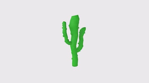 Cactus isolated on white background