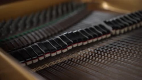View inside a beautiful brown Grand Piano, hammers and strings moving as pianist plays classical mus
