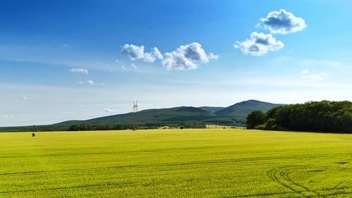 Footage above the yellow field towards the verdant mountains at backdrop.